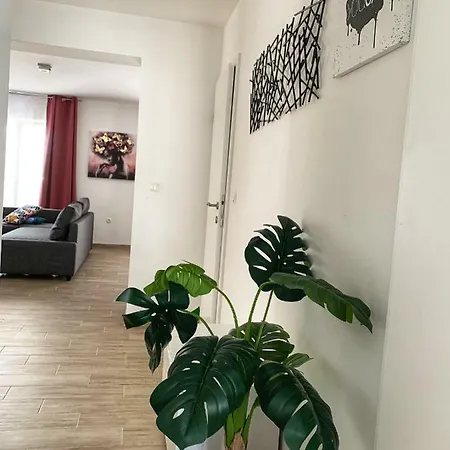 Apartment Lord *